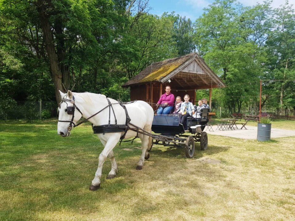 hermanow01 [1600x1200]