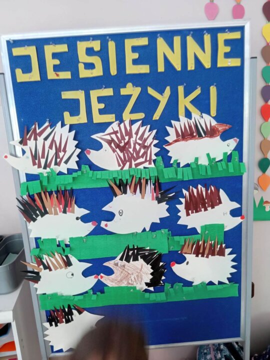 IMG_20230928_133212~2 (3)