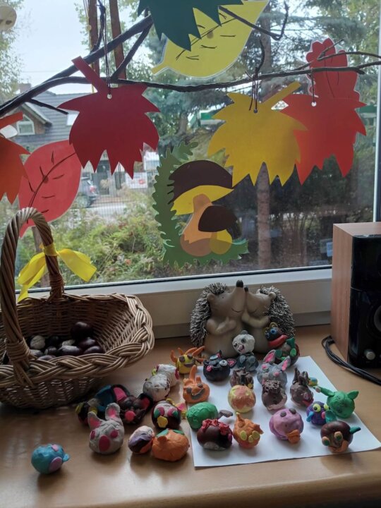 IMG_20231005_131458~2