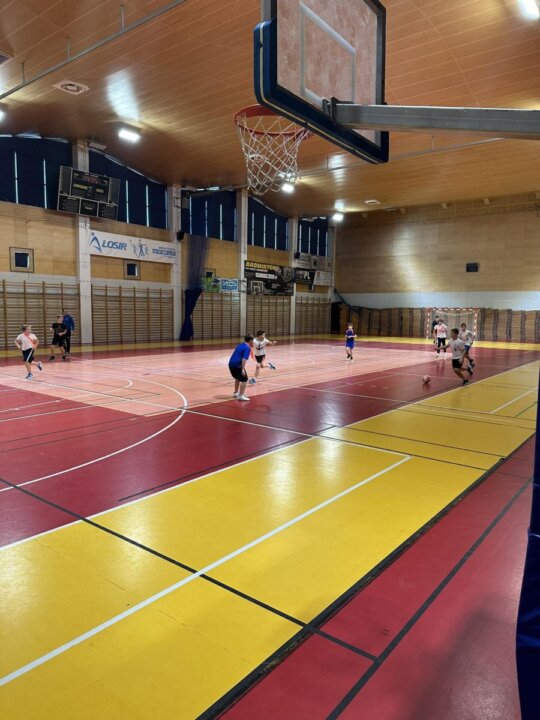 Liga (3)