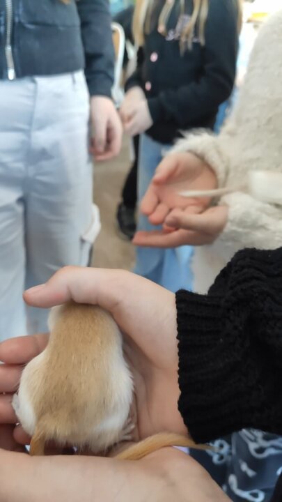 dzielimy się (2) [1600x1200]