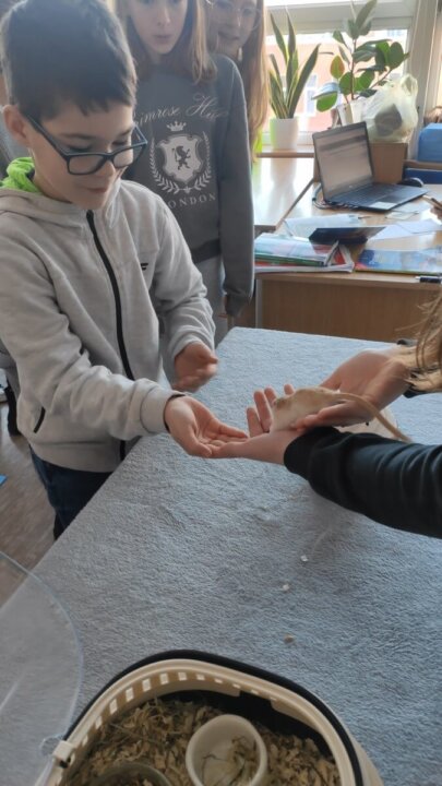 dzielimy się (4) [1600x1200]