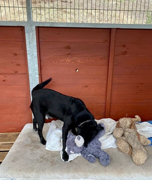 Resized_received_356640157151652