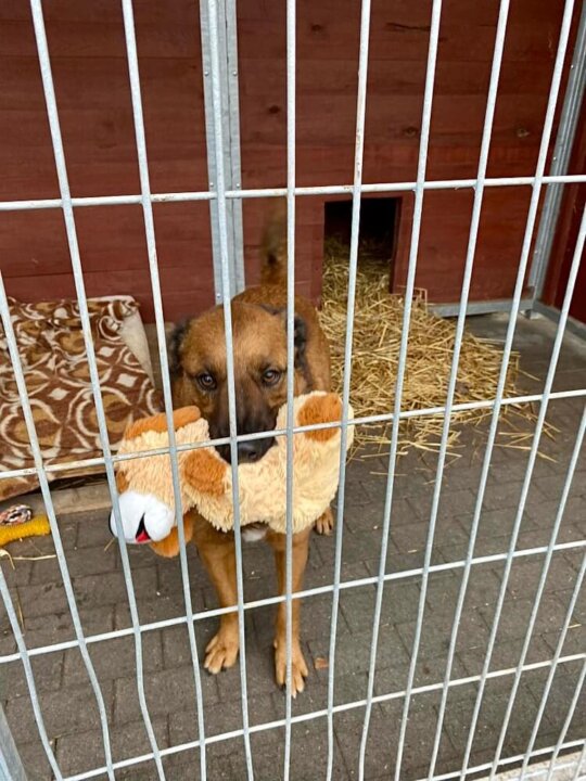 Resized_received_760919119223137