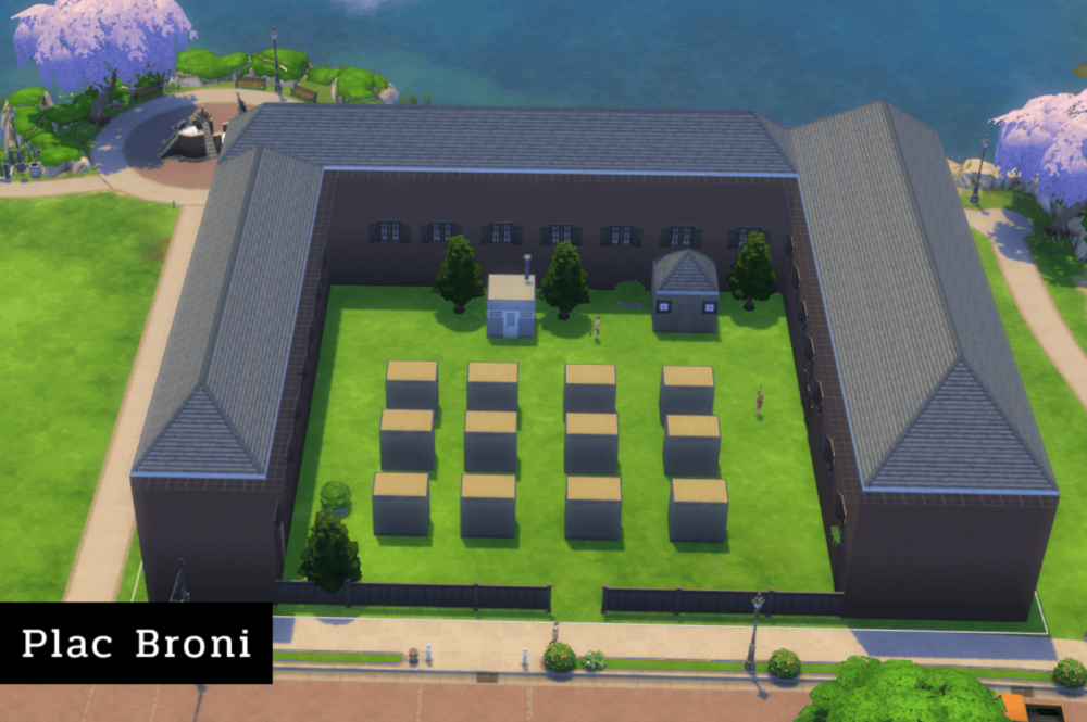 Chłopcy z placu (8)