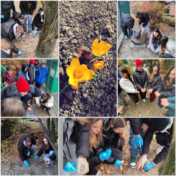 Krokus 2024 [1600x1200]