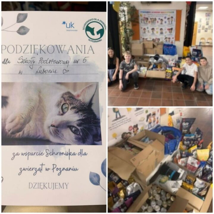 schronisko 2024 [1600x1200]