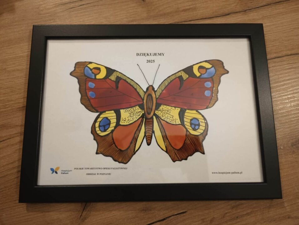 walentynkowy wolontariat (3)