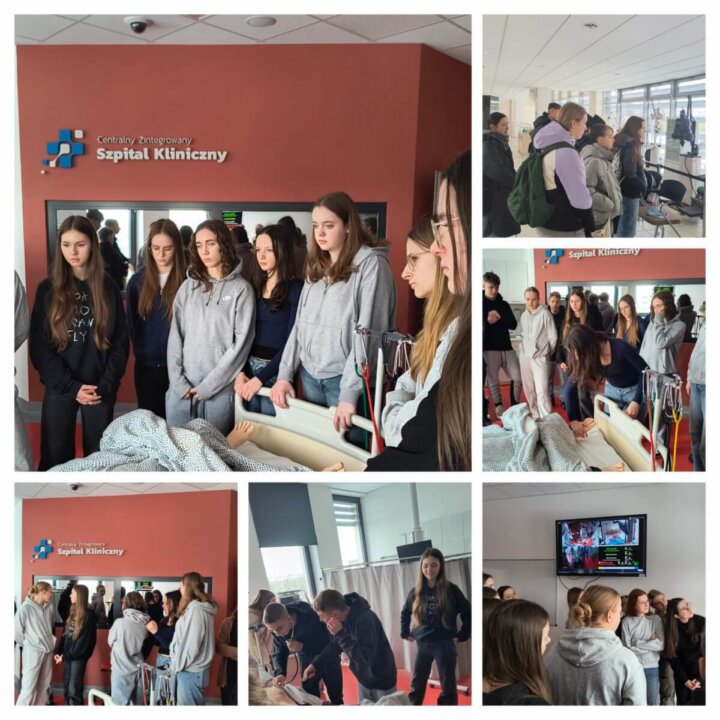 20250219_173523-COLLAGE (2) [1600x1200]