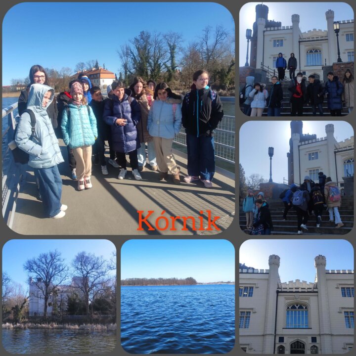 InCollage_20250318_162047338