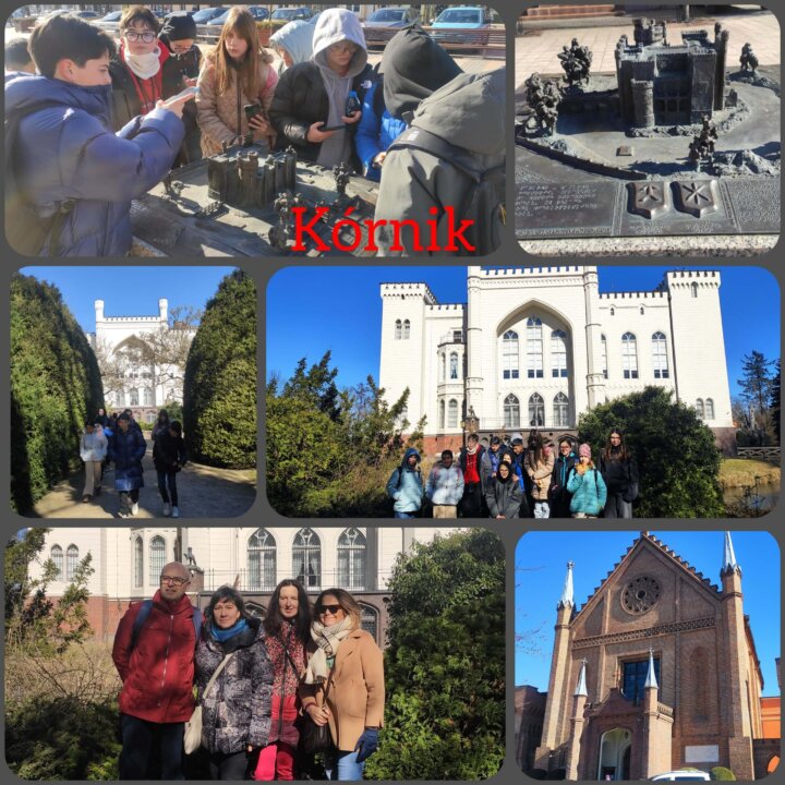 InCollage_20250318_163432243