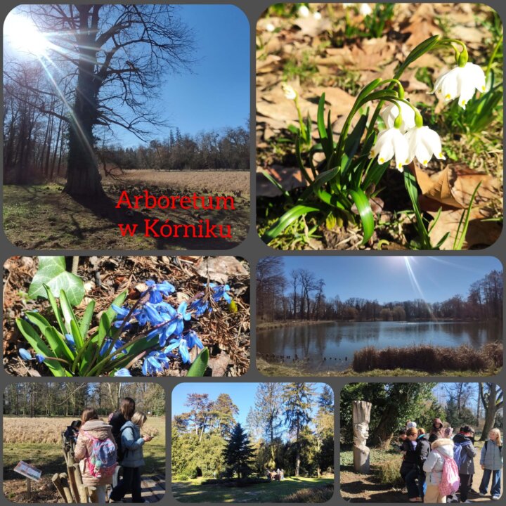 InCollage_20250318_163911436