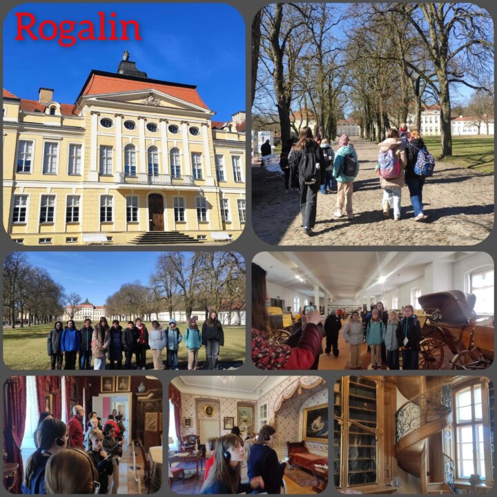 InCollage_20250318_164858123