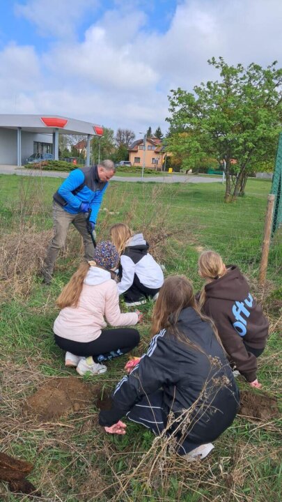 1000055038_Easy-Resize.com