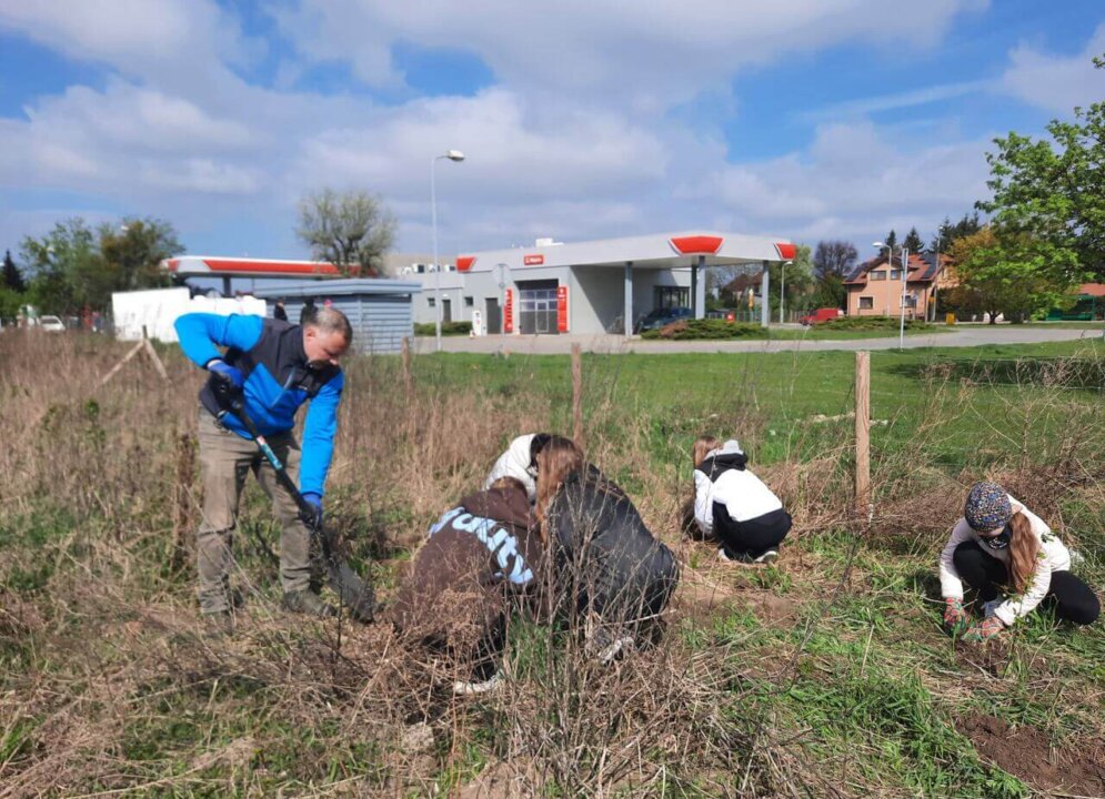 1000055111_Easy-Resize.com