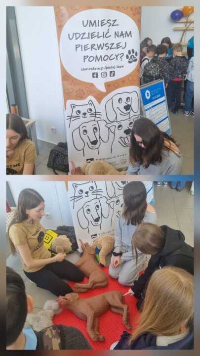 Resized_20260426_105807